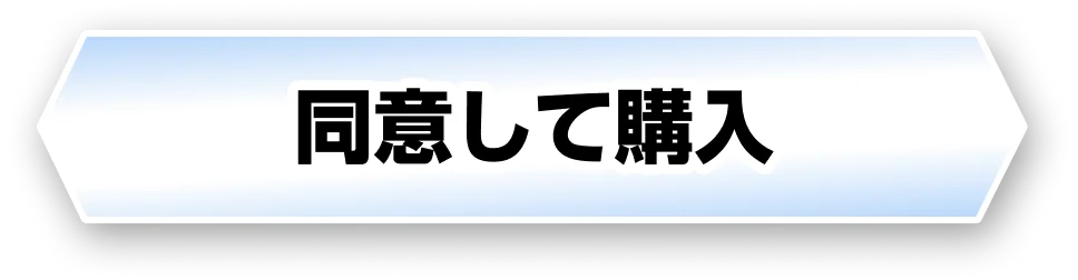 同意して購入