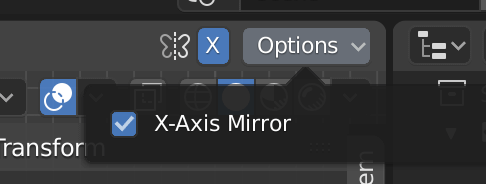 X-Axis Mirrorにチェック