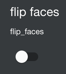 flip faces