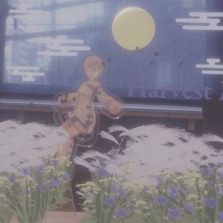 otsukimi